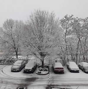 Meet your Posher, Wayne